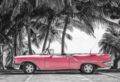 Fotobehang - Vlies Behang - Retro Rode Auto onder de Palmbomen - 254 x 184 cm