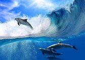 Dolphins Sea Wave Nature Photo Wallcovering