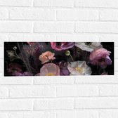 Muursticker - Boeket van Stilleven in Witte en Roze Kleuren - 60x20 cm Foto op Muursticker