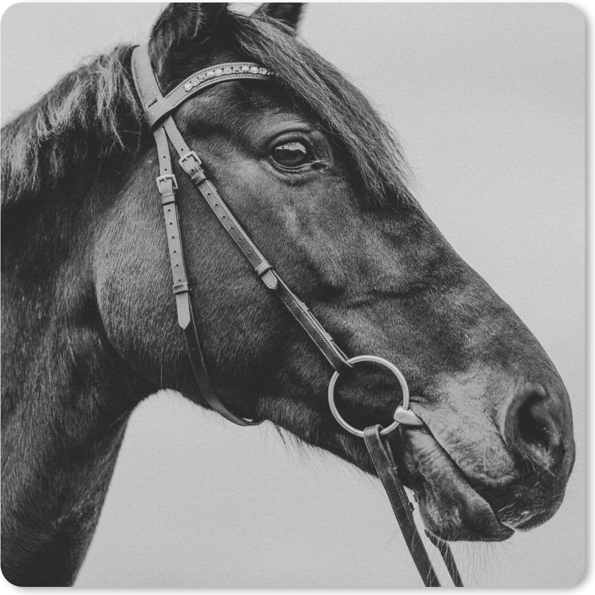 Muismat 30x30 cm - Mousepad Paard - Halster - Portret - Muismatten
