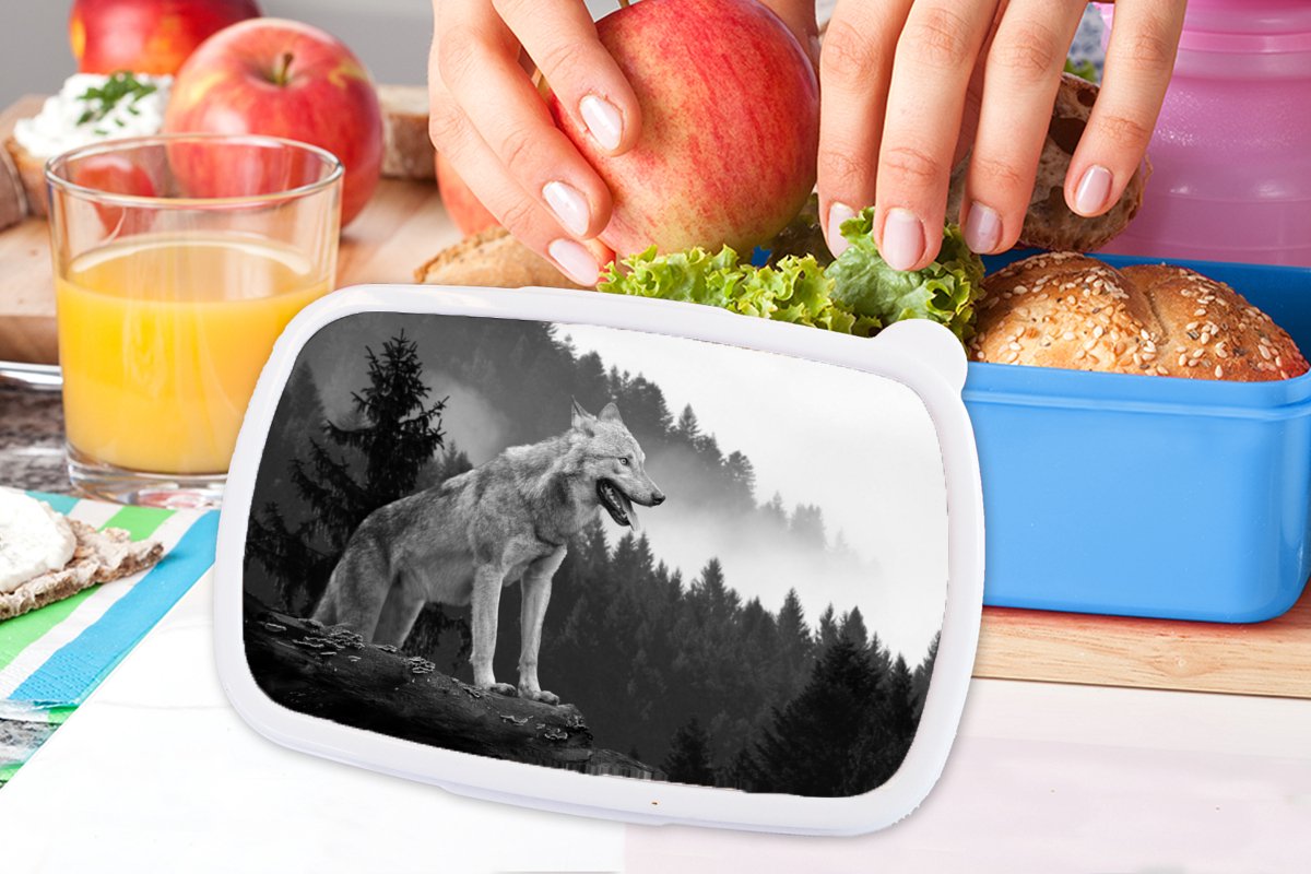 Broodtrommel Blauw - Lunchbox - Brooddoos - Wolf - Bos - Zwart - Wit - 18x12x6 cm - Kinderen - Jongen