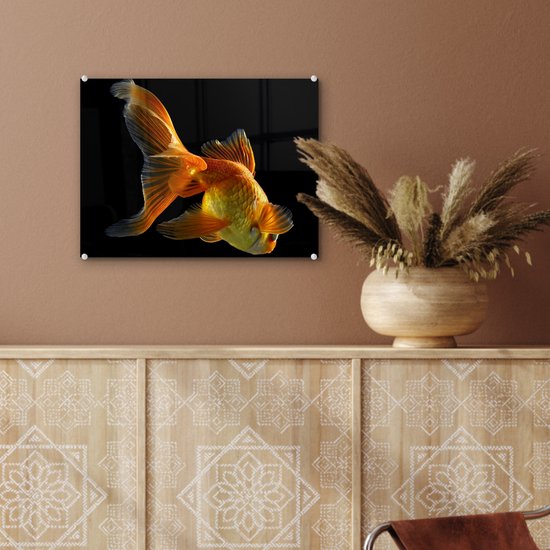 MuchoWow® Peinture sur verre 40x30 cm - Peinture sur verre acrylique - Poisson rouge - Animaux - Zwart - Photo sur verre - Peintures