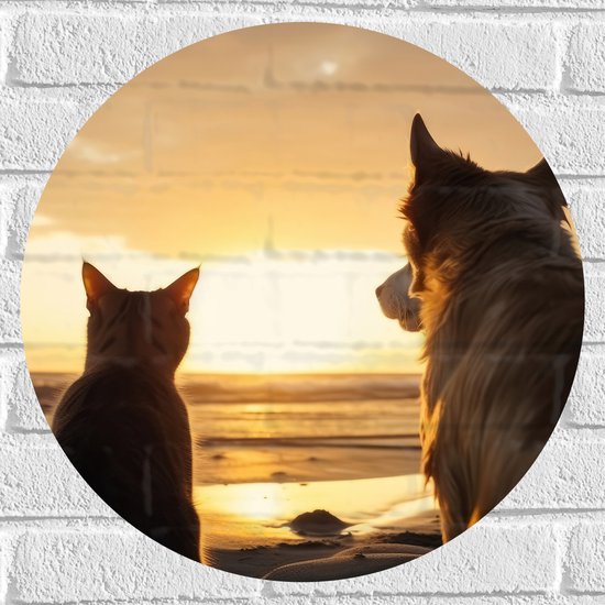 Muursticker Cirkel - Hond en Kat Kijkend naar de Ondergaande Zon - 50x50 cm Foto op Muursticker