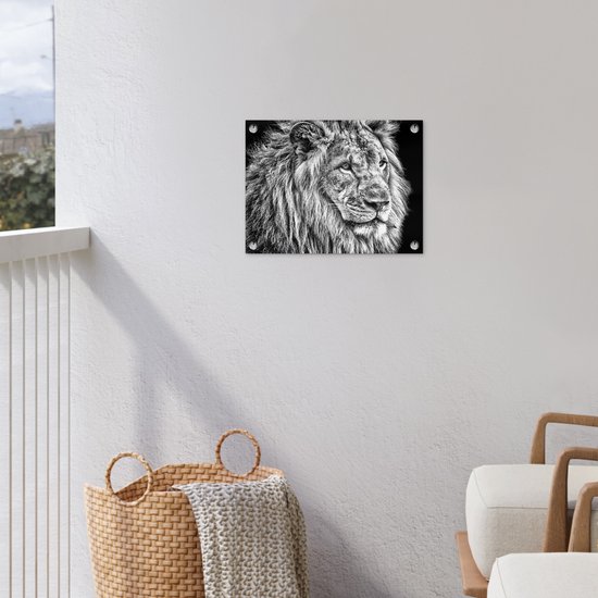 Affiche de jardin Lion en hiver 60x40 cm - Photo sur affiche de jardin / Peintures pour l'extérieur (décoration de jardin)