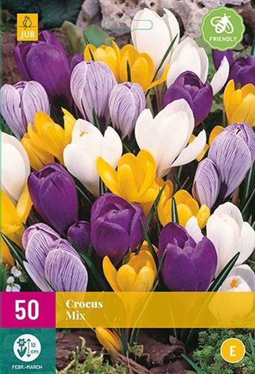 Jub Holland - bloembollen - Krokus/Crocus Grootbloemig Mix - maat 7/8 - 30 stuks