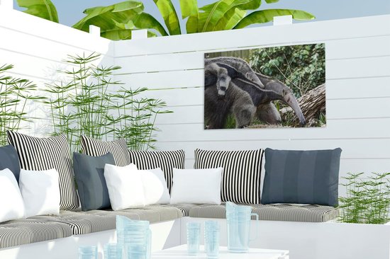 Tuindecoratie Miereneter - Plant - Dier - 60x40 cm - Tuinposter - Tuindoek - Buitenposter