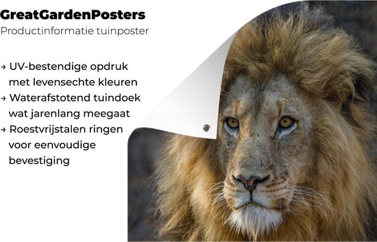 Poster Jardin Roi Lion 40x60 cm - petit - Toile de jardin / Toile d'extérieur / Peintures d'extérieur (décoration de jardin)