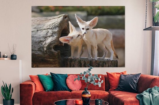 Deux adorables renards Fennec sur un tronc d'arbre Toile 180x120 cm - Tirage photo sur Toile (Décoration murale salon / chambre) / Animaux sauvages Peintures sur toile XXL / Groot format!