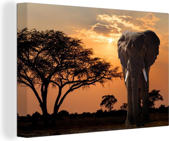 Olifant Schilderij - Dieren - Zonsondergang - Afrika - Natuur - 120x80 cm -  Muurdecoratie | bol.com
