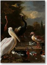 Het drijvend veertje - A1 Poster Staand - 59x84cm - Melchior d'Hondecoeter - Meesterwerken