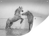 Tuin decoratie Twee paarden in het water in Camargue - zwart wit - 40x30 cm - Tuindoek - Buitenposter