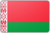 Vlag Wit Rusland - 100 x 150 cm - Polyester