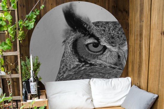 Cercle de jardin Moitié du visage d'un hibou marron - noir et blanc - 150x150 cm - Affiche de Jardin Ronde - Extérieur