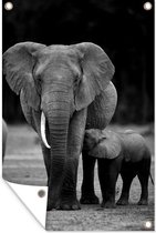 Tuindecoratie Baby olifant die gevoed wordt door zijn moeder - zwart wit - 40x60 cm - Tuinposter - Tuindoek - Buitenposter