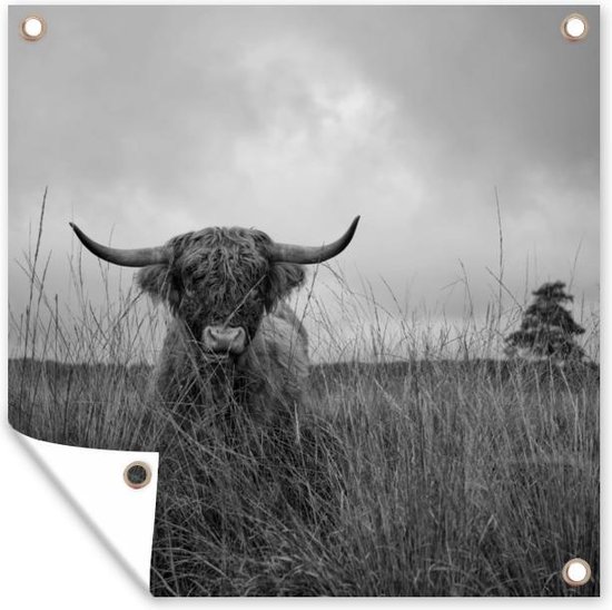 Tuin poster Schotse hooglander in het hoge gras - zwart wit - 200x200 cm - Tuindoek - Buitenposter