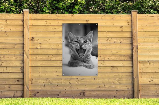Affiche jardin - Toile jardin - Posters de jardin extérieur - Chat bâillant de près - noir et blanc - 80x120 cm - Jardin
