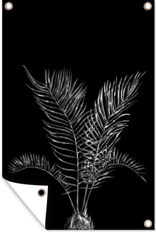 Gouden bladeren van een palm op een zwarte achtergrond - zwart wit