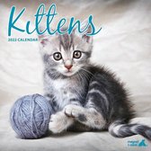 Kittens - Kalender 2022