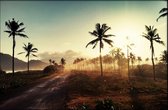 Walljar - Palms And Sunlight III - Muurdecoratie - Poster met lijst