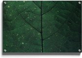 Walljar - Detailed Leaf - Muurdecoratie - Plexiglas schilderij