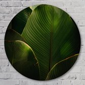 'Leaf' me alone - 40 cm Aluminium Muurcirkel - Bloemen en Planten - Wanddecoratie - Rond Schilderij - Wandcirkel