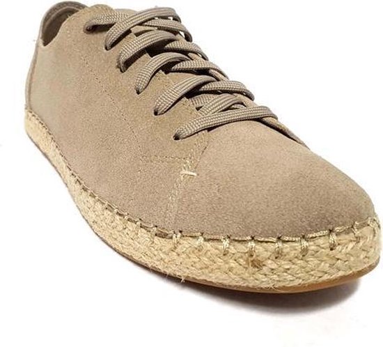 Toms lena shop suede sneaker