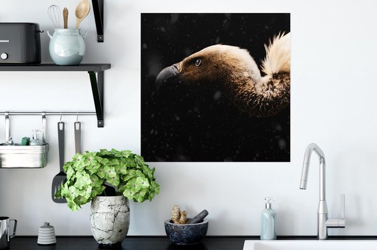 Poster Vautour - Wit - Zwart - 50x50 cm