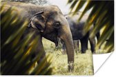 Poster Olifant - Natuur - Bladeren - 60x40 cm