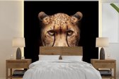 Behang - Fotobehang Cheetah - Dieren - Zwart - Breedte 350 cm x hoogte 350 cm