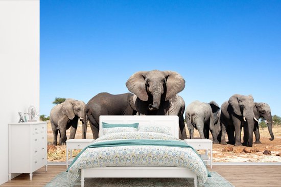 Papier peint - Papier peint photo Éléphants - Animaux - Water - Largeur 390 cm x hauteur 260 cm