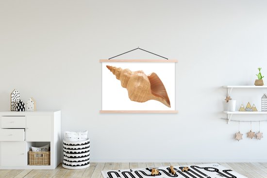 Coquille d'un poster d'école d'escargot de mer lattes plates vierges 120x80 cm - Tirage photo sur poster textielposter (décoration murale salon / chambre)