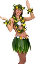 Carnival Toys Verkleedset Hawaii Dames Groen/geel 5-delig