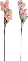 Decoratieve Bloem DKD Home Decor (2 pcs)