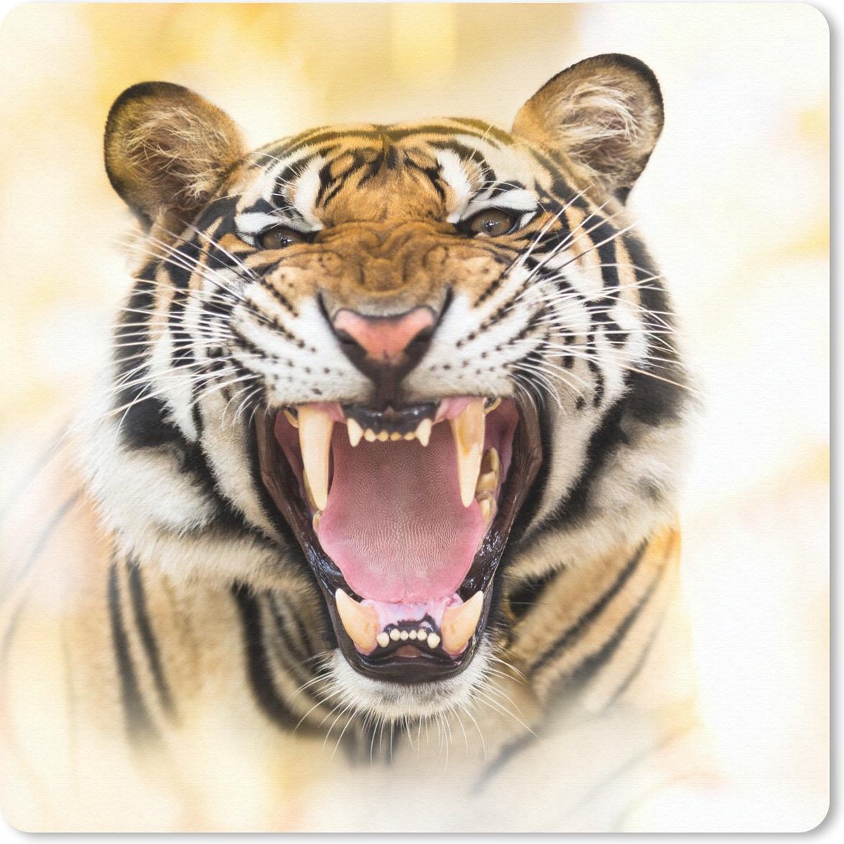 Muismat 30x30 cm - Mousepad Tijger - Tanden - Roofdieren - Muismatten