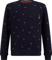 WE Fashion Jongens sweater met dessin