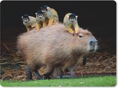 Muismat Capibara - Een Capibara met aapjes op zich muismat rubber - 40x30 cm - Muismat met foto