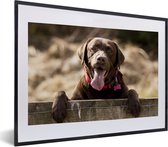 Fotolijst incl. Poster - Labrador Retriever die over een omheining kijkt - 40x30 cm - Posterlijst