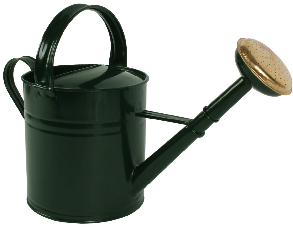 Talen Tools - gieter - metaal - 5l - groen