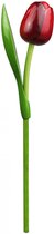 Gevavi - Houten Tulp - Decoratie - Gekleurde Tulp - Holland Souvenir - Rood - 34cm