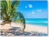 Tropisch strand met palmboom - 40x30 Canvas Liggend - Natuur