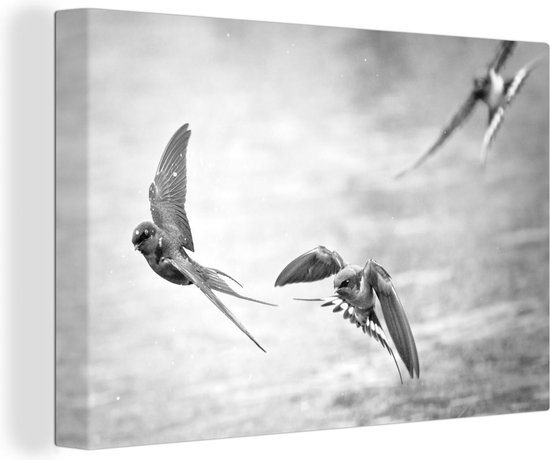 Canvas Schilderij Zwaluwen boven het water - zwart wit - 120x80 cm - Wanddecoratie