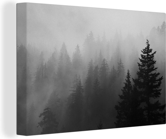 Canvas Schilderij Silhouetten van bomen in de dichte mist - zwart wit - Wanddecoratie