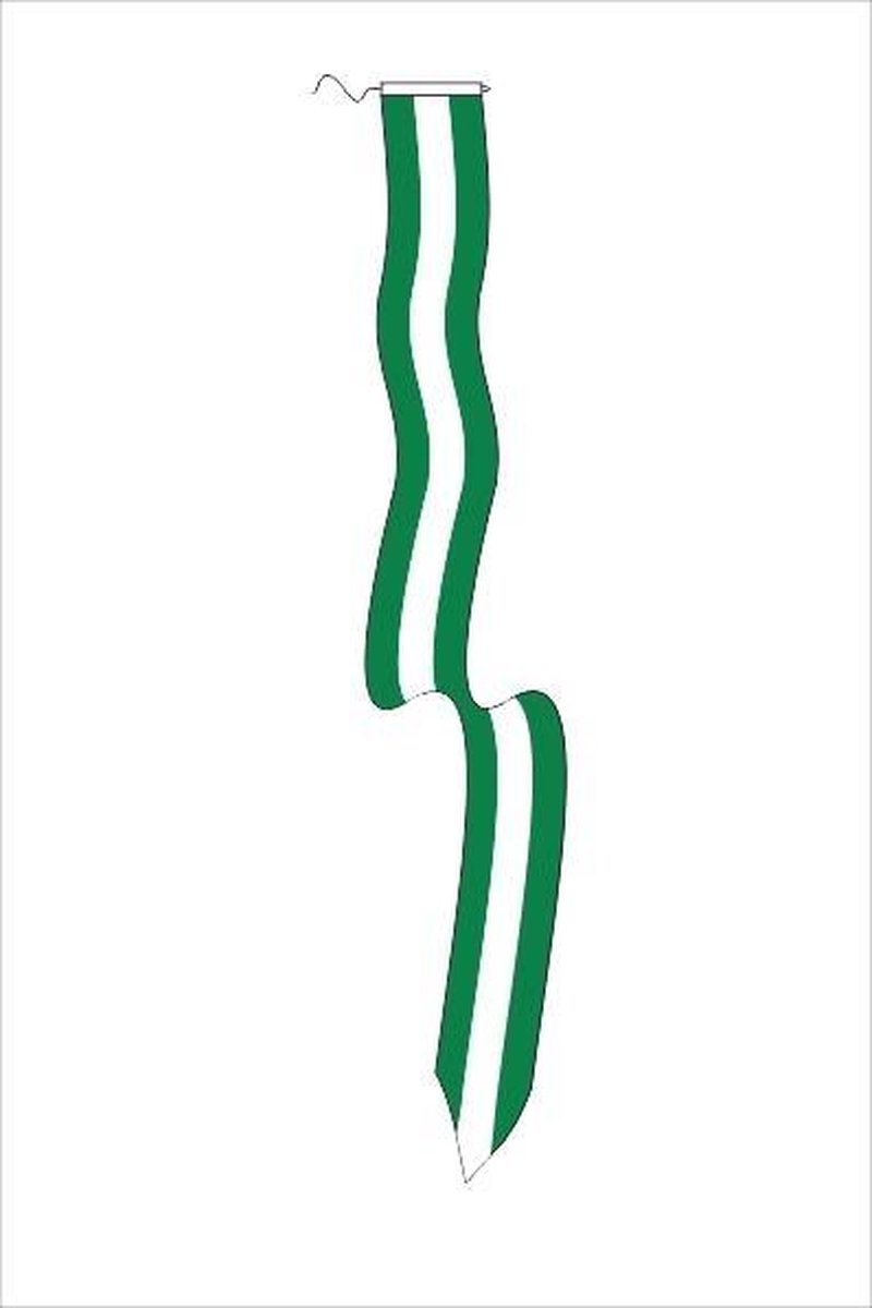 Wimpel Rotterdam 25x300cm met koord en lusje