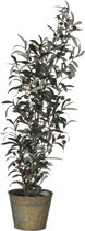Kunstplant Olijfplant in Pot 106 cm