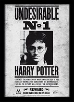 Schilderij Harry Potter Undesirable NO1 (30 x 40 cm) (Gerececonditioneerd D)