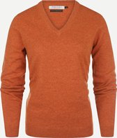 Steppin' Out Herfst/Winter 2021 Trui Fine Merino Vneck Vrouwen - Regular Fit - Wol - Bruin (M)