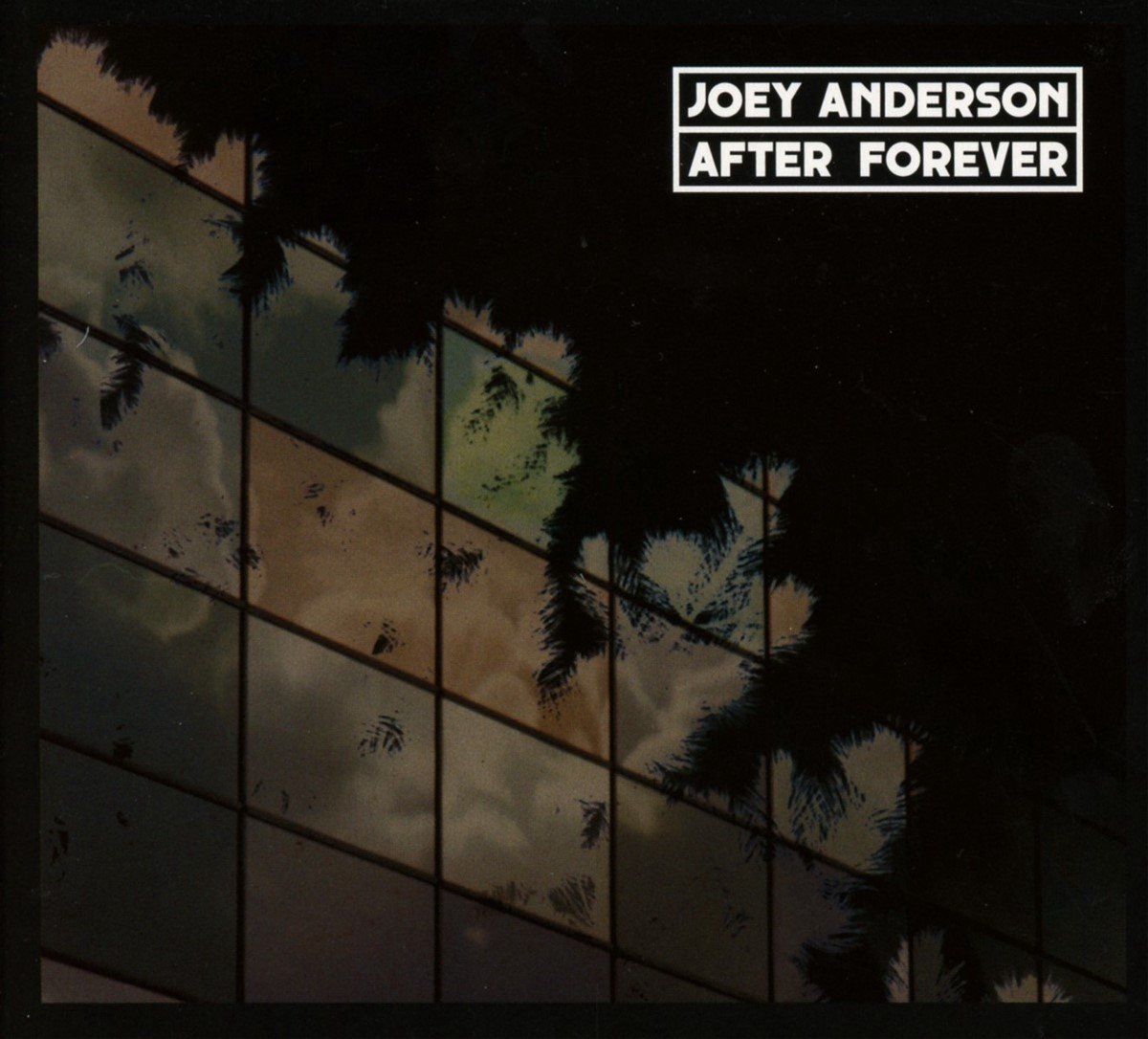 Joey Anderson - After Forever (CD)