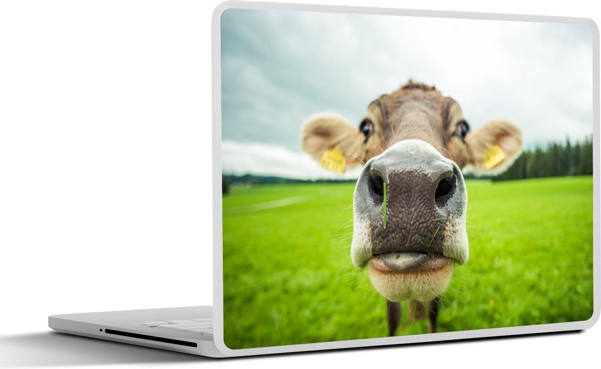 Afbeelding van product SleevesAndCases  Laptop sticker - 12.3 inch - Koe - Dieren - Gras - Macro