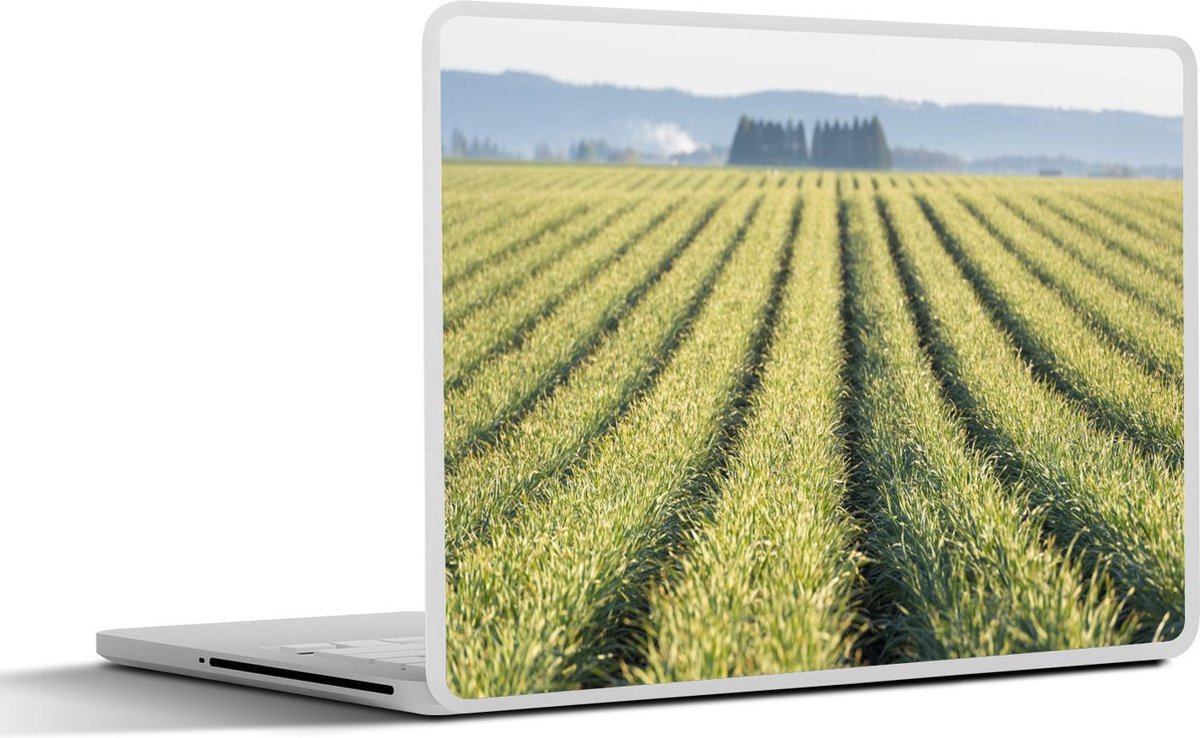 Afbeelding van product SleevesAndCases  Laptop sticker - 13.3 inch - Weergave van knoflookplanten in de Verenigde Staten