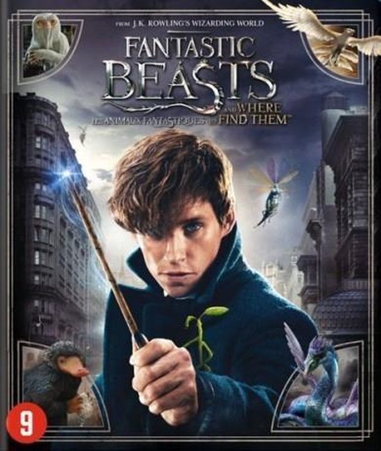 Fantastic Beasts And Where To Find Them (Blu-ray)